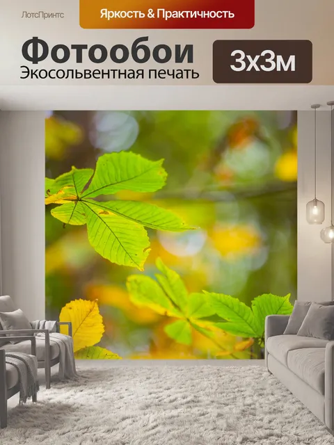 Фотообои Осенние листья
