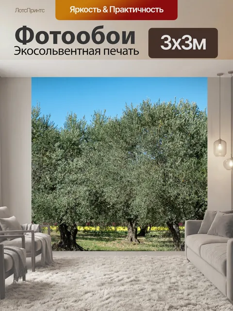 Фотообои Оливковые деревья