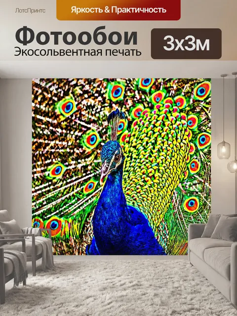 Фотообои Павлин Картина