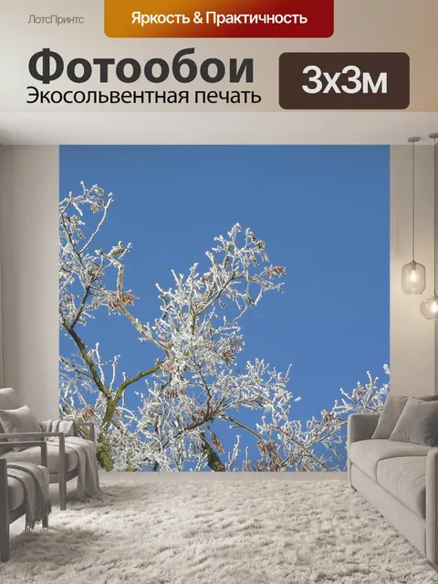 Фотообои Мороз