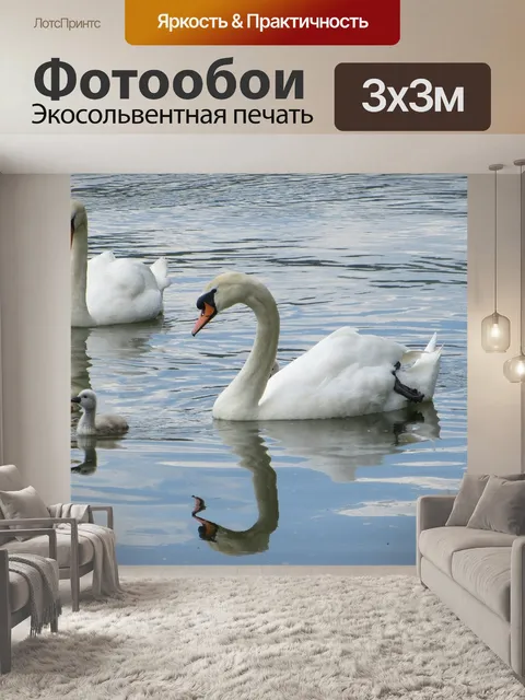 Фотообои Лебеди