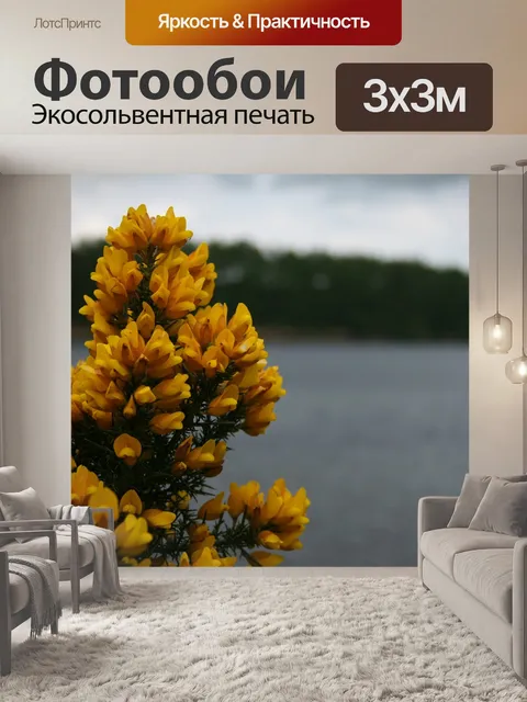 Фотообои Цветок