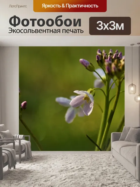 Фотообои Цветы