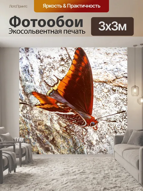 Фотообои Бабочка