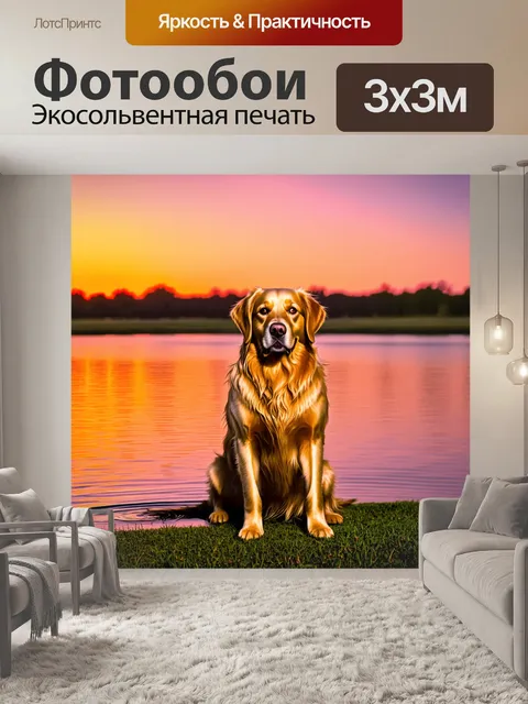 Фотообои золотистый ретривер сидит на берегу озера во время заката, отражения ярких оранжевых и розовых тонов на воде