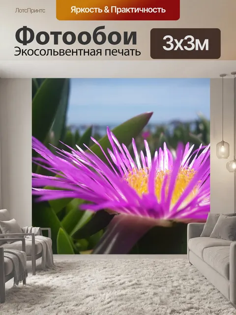 Фотообои Цветок
