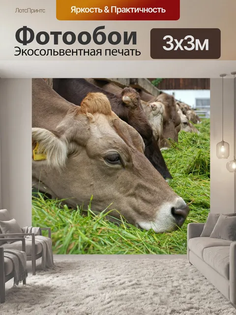 Фотообои Еда