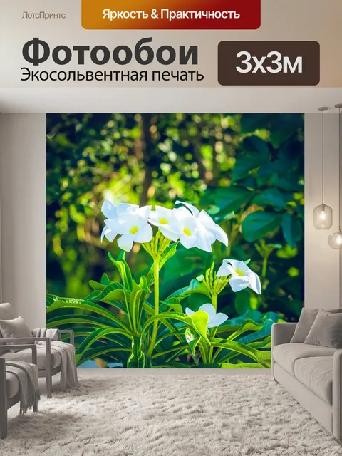 Фотообои Цветы