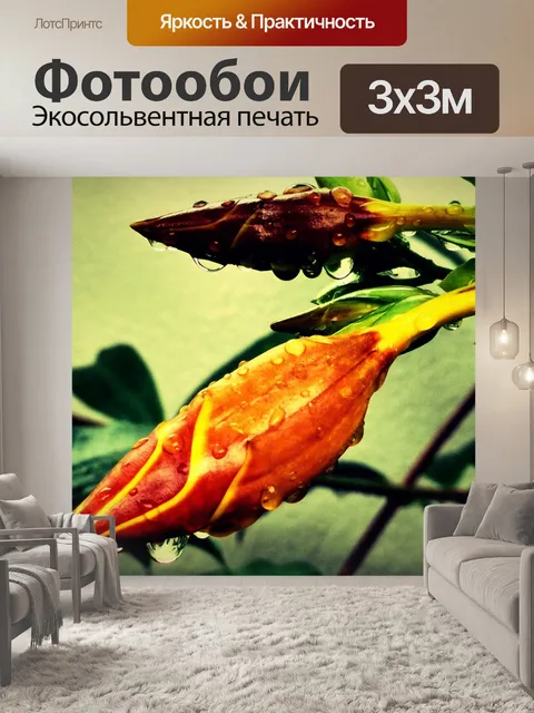 Фотообои Сад