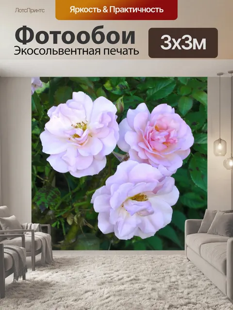 Фотообои Розовый Сад Цветы
