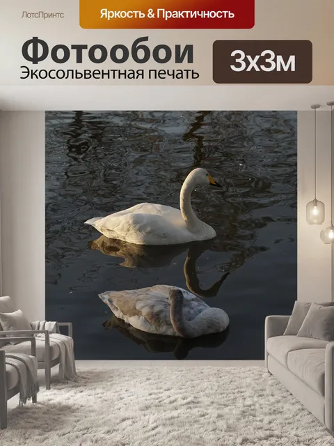 Фотообои Лебеди