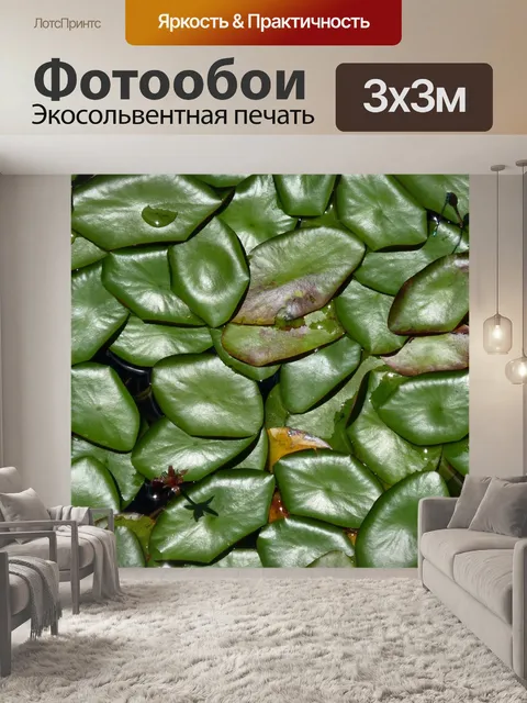 Фотообои Листья