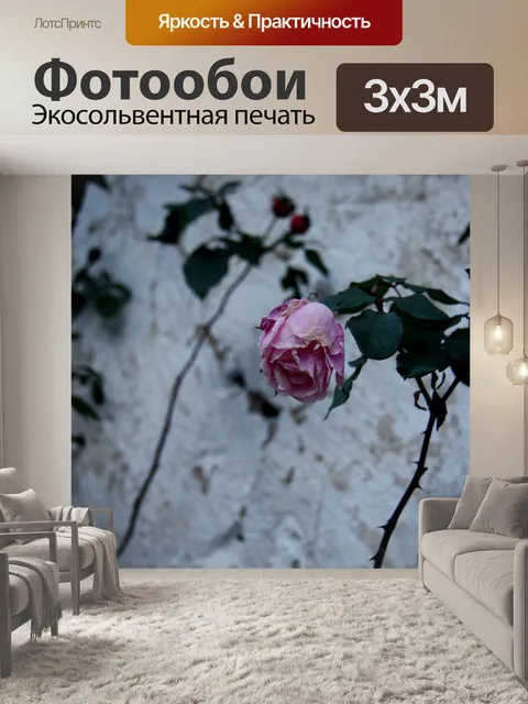 Фотообои Розы