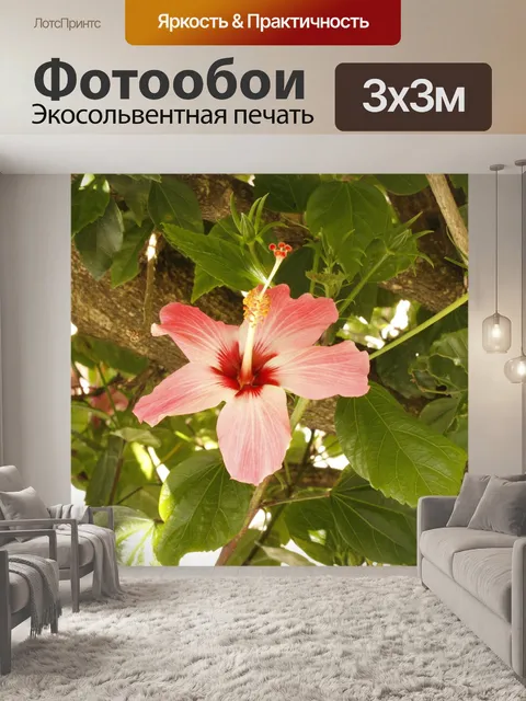 Фотообои Цветок