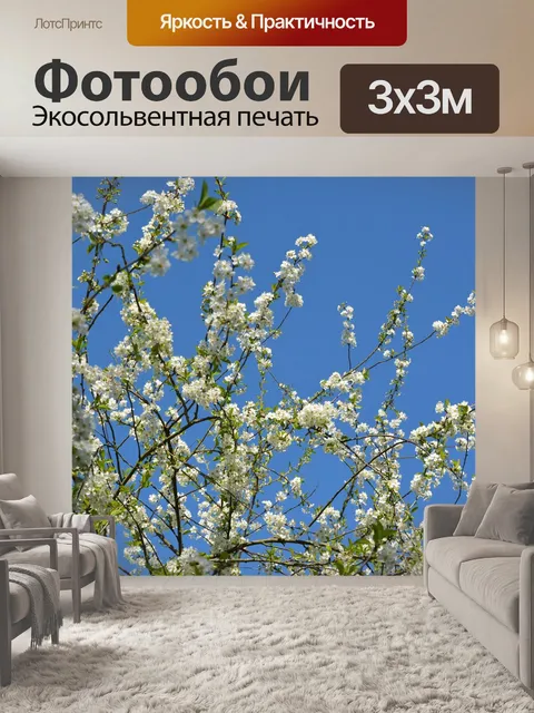 Фотообои Цветение вишни