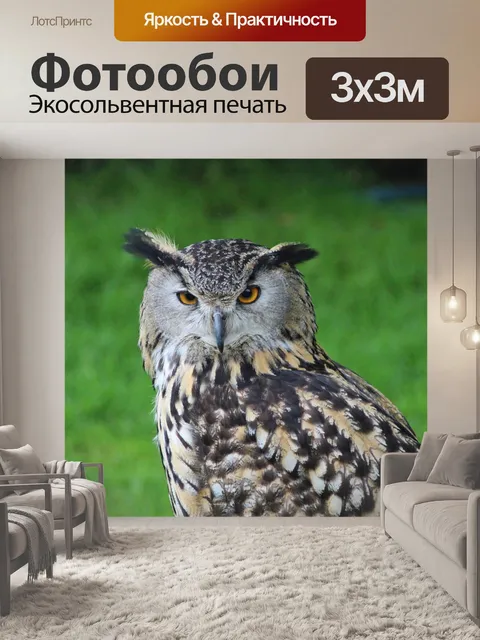 Фотообои Филин