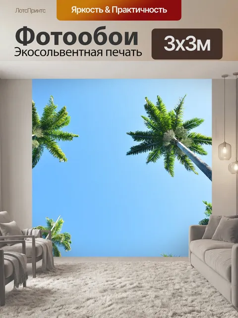 Фотообои Пальмовые деревья