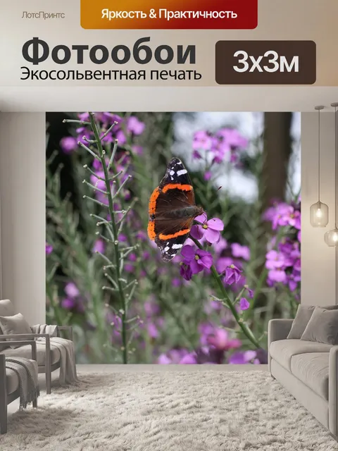 Фотообои Бабочка