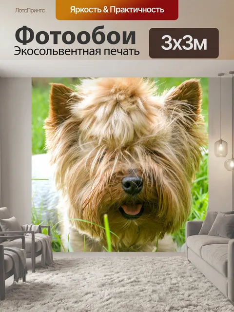 Фотообои Маленькая собака