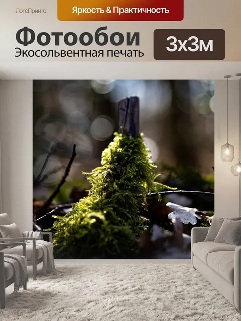 Фотообои Мох