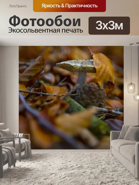 Фотообои грибы