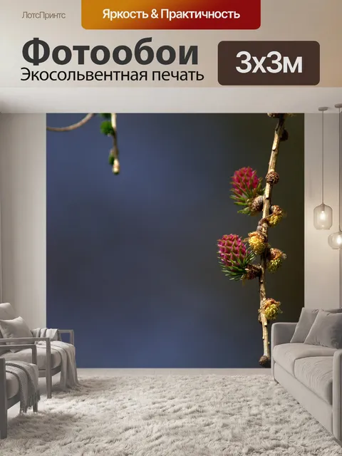 Фотообои Ветви
