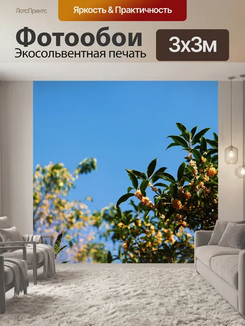 Фотообои Весна