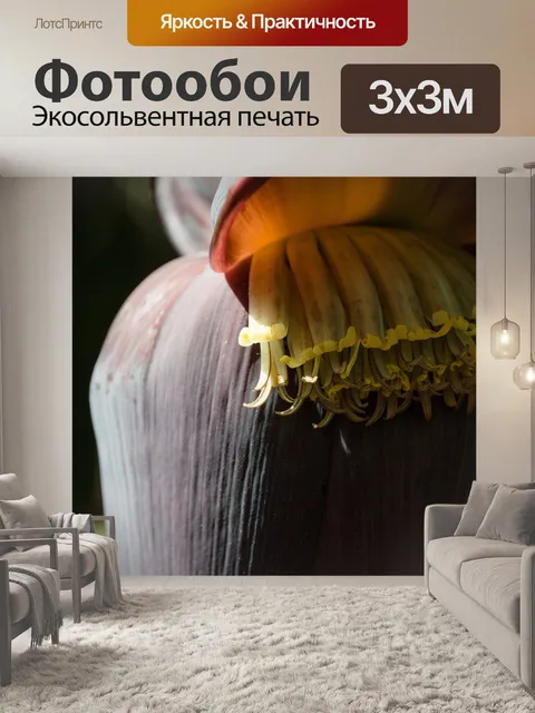 Фотообои Подающий надежды