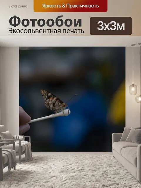 Фотообои Нарисованная Леди Бабочка