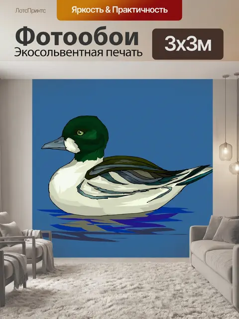 Фотообои (тропических) птицы