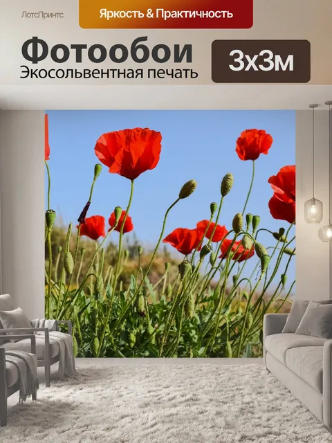Фотообои Маки