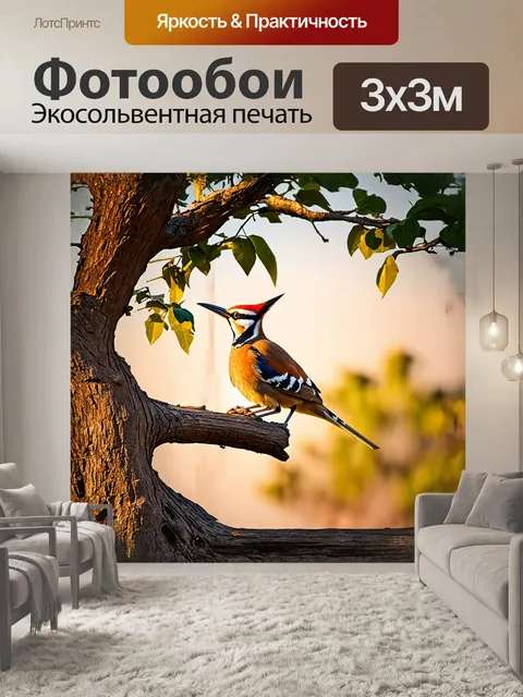 Фотообои удод, с его ярким оперением и характерным гребешком, спокойно сидит на ветке древнего баобаба, окруженного…