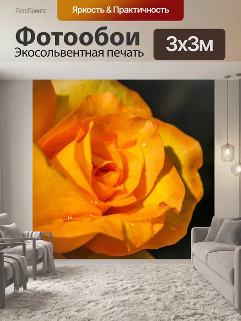 Фотообои Роза в саду