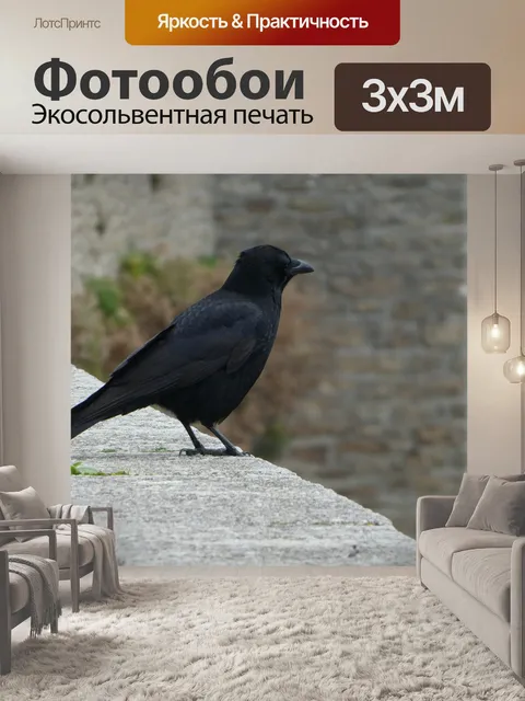 Фотообои Ворон сидит
