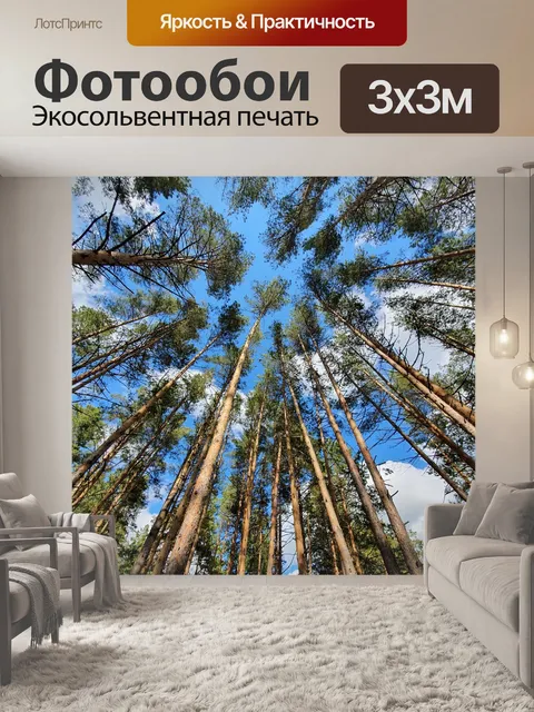 Фотообои Лес