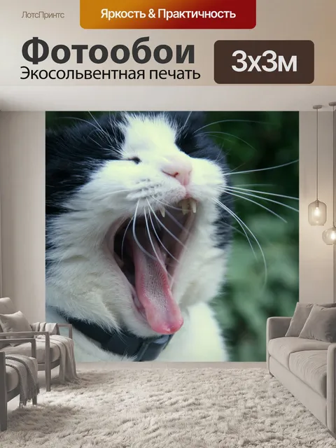 Фотообои Кошка