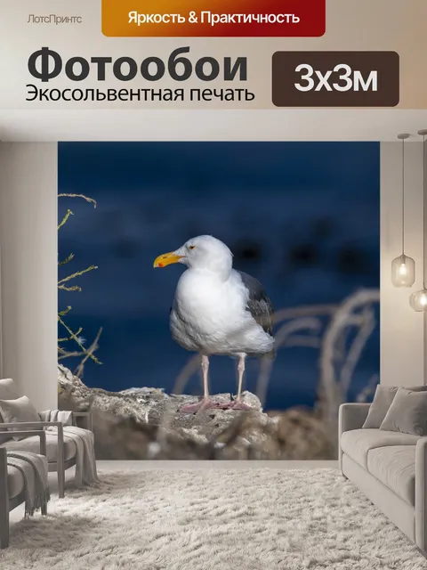 Фотообои чайка