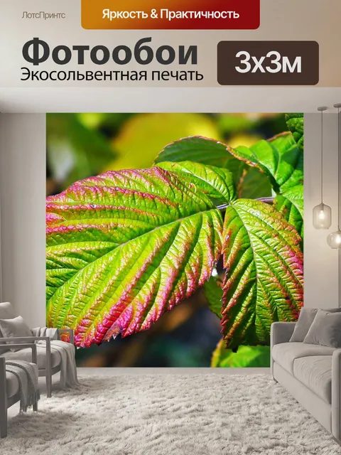 Фотообои Листья