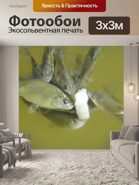 Фотообои Рыба