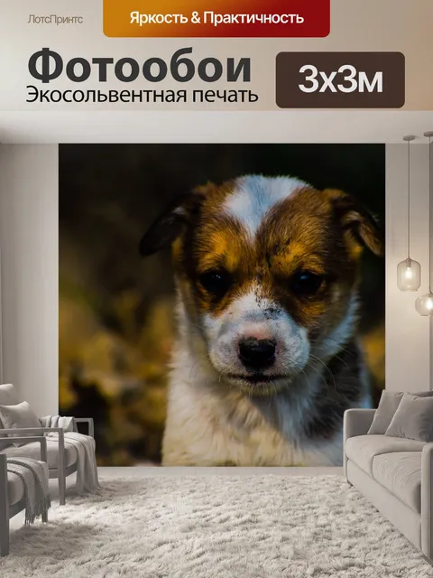 Фотообои Природа
