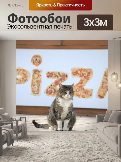 Фотообои Кошка