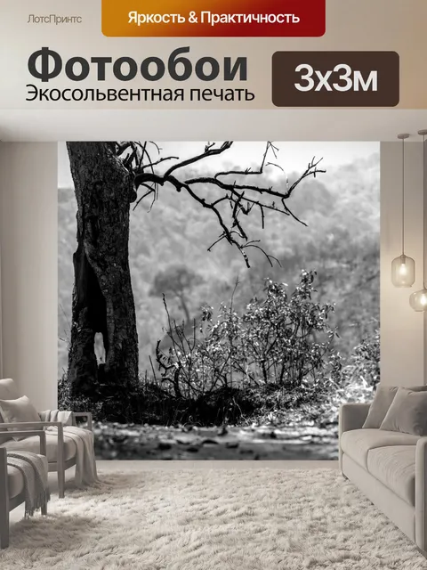 Фотообои Дерево