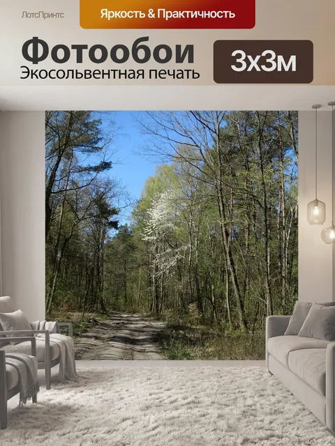 Фотообои Щецин