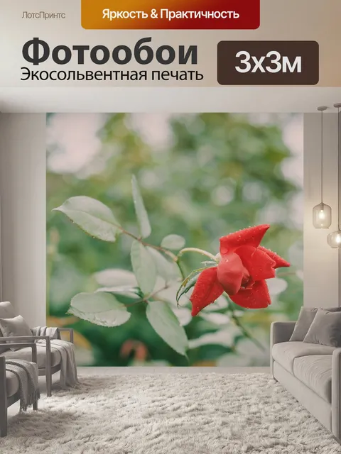 Фотообои Розы