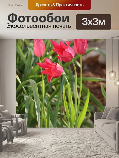 Фотообои Пурпурный