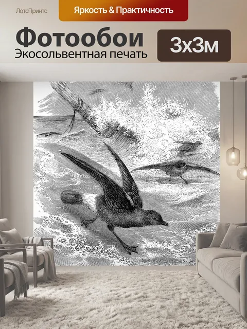 Фотообои Штормовой буревестник