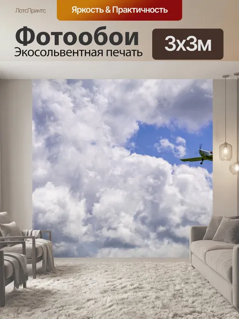 Фотообои Самолет