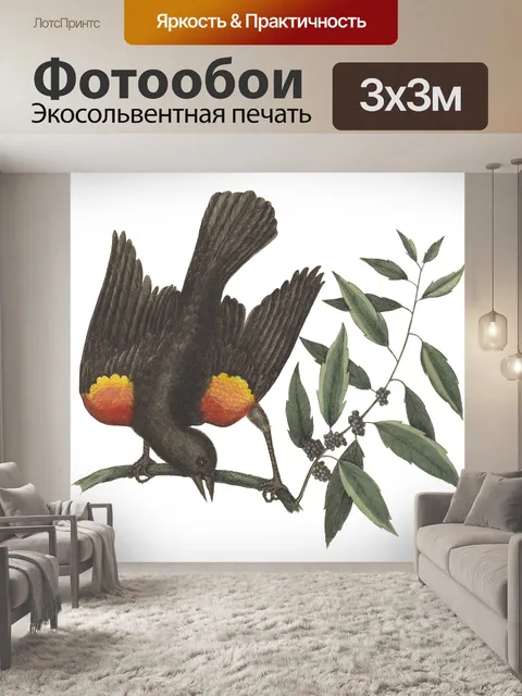 Фотообои Винтажное Искусство Птицы Скворец