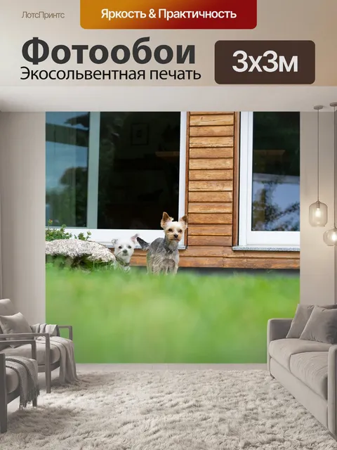 Фотообои Собаки