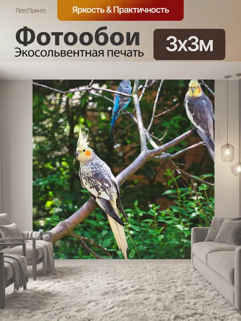 Фотообои Зоопарк